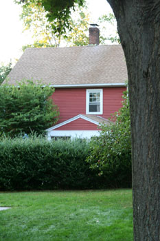 Maple Tree and No 6 Maple Court